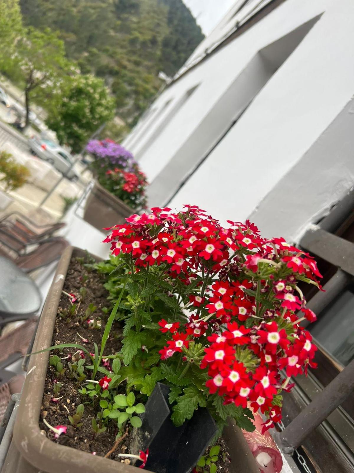 Hotel Omer Μπεράτ Δωμάτιο φωτογραφία